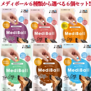 6個セット 6種類から選べる MediBall メディボール  犬用 投薬補助おやつ サプリメント