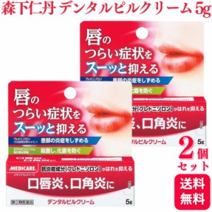 指定第2類医薬品 2個セット 森下仁丹 メディケア デンタルピルクリーム 5g 口唇炎 口角炎