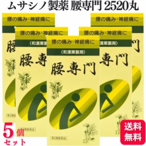 第2類医薬品 5個セット ムサシノ製薬 腰専門 2520丸 腰痛 関節痛