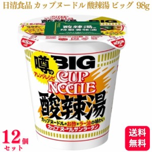 送料無料 12個セット  日清 カップヌードル 酸辣湯 ビッグ 98g ケース 1ケース まとめ買い 日清食品 カップラーメン インスタントラーメ