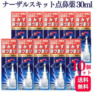 第2類医薬品 10個セット 日新薬品工業 ナーザルスキット点鼻薬 30ml 鼻水 鼻づまり