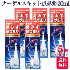 第2類医薬品 5個セット 日新薬品工業 ナーザルスキット点鼻薬 30ml 鼻水 鼻づまり