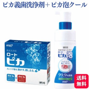 2個セット 松風 ロート ピカ 義歯洗浄剤 ＋ ピカ泡クール 150ml 歯科専売品