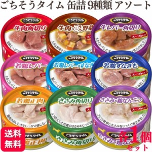 9種セット  ペットライン 缶詰 各1個 ごちそうタイム 80g 9種類アソートセット 牛肉角切り 牛肉&ごろごろ野菜 牛レバー角切り 若鶏レバー