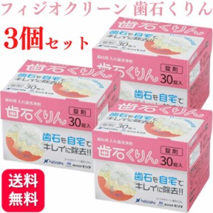 3個セット フィジオクリーン 歯石くりん 30錠 入れ歯 義歯洗浄剤 送料無料