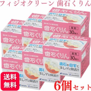 6個セット フィジオクリーン 歯石くりん 30錠 入れ歯 義歯洗浄剤 送料無料