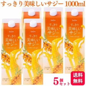 送料無料 5本セット  SajiOne すっきり美味しいサジー 1000ml サジー 鉄分補給 アミノ酸 リンゴ酸 ミネラル ドリンク ゆず オレンジ 飲み