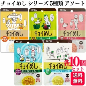 5種セット  わんわん ドッグフード 各10個 チョイめし 80g 5種類アソートセット 鳥まるごと とり肉とベジ4 親子丼 なんか良さそう習慣 わ