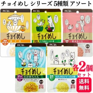 5種セット  わんわん ドッグフード 各2個 チョイめし 80g 5種類アソートセット 鳥まるごと とり肉とベジ4 親子丼 なんか良さそう習慣 わ