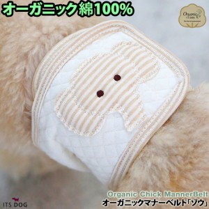 【メール便送料無料】犬 マナーベルト トイレ用品 犬用 下着  マナーパンツ マナーバンド 新作 小型犬 オーガニック ItsDog 【オーガニッ