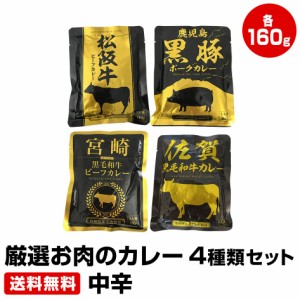 厳選お肉のカレー 4種類セット 中辛 4袋×160g　≪ギフト 贈り物に≫ 50代 60代 70代 お試し 保存食 お買得 まとめ買い 干物セット 干物 