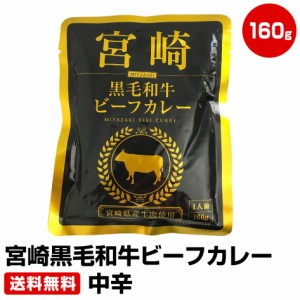 宮崎黒毛和牛ビーフカレー 160g×3袋 中辛　≪ギフト 贈り物に≫ 50代 60代 70代 お試し 保存食 お買得 まとめ買い 干物セット 干物 お取