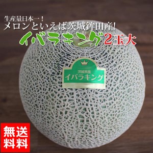 【送料無料】茨城 メロン イバラキング 2玉 4L ほこいち農園 茨城 茨城県 鉾田 緑肉 青肉 茨城メロン 鉾田メロン (収穫次第順次出荷) (同