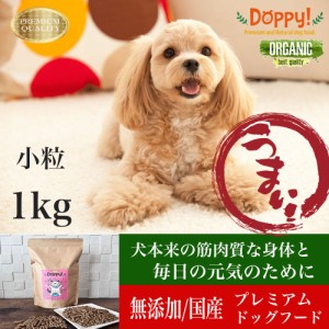 ドッグフード 無添加 国産 馬肉 犬 鶏 チキン ドライフード 小粒 犬用 牛肉 野菜 小型犬 中型犬 シニア犬 高齢犬 アレルギー 犬のご飯 総