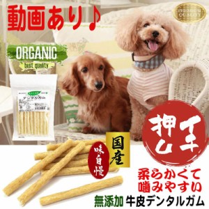 犬 おやつ ガム 犬のおやつ ドッグフード 犬のおやつ無添加 犬おやつガム ガム 犬のガム 犬用ガム 犬ガム クッキー シニア犬のおやつ 犬