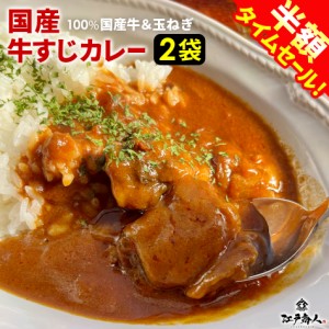 カレー 牛すじ 中辛 2袋 420g 210g×2 送料無料  100％国産 牛すじ たまねぎ 牛すじ肉カレー 柔らか トロトロ スパイス 大人 子供 本格派