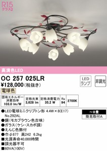 (送料無料) オーデリック OC257025LR シャンデリア LEDランプ 電球色 非調光 ODELIC