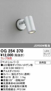 (送料無料) オーデリック OG254370 エクステリアライト LEDランプ ODELIC