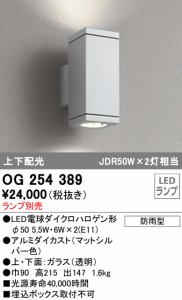 (送料無料) オーデリック OG254389 エクステリアライト LEDランプ ODELIC