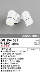 (送料無料) オーデリック OG254581 エクステリアライト LEDランプ ODELIC