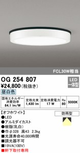 (送料無料) オーデリック OG254807 エクステリアライト LED一体型 昼白色 ODELIC