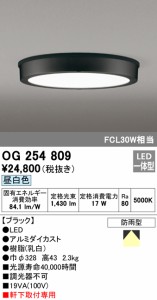 (送料無料) オーデリック OG254809 エクステリアライト LED一体型 昼白色 ODELIC