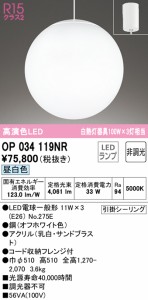 (送料無料) オーデリック OP034119NR 吹き抜け照明 LEDランプ 昼白色 非調光 ODELIC