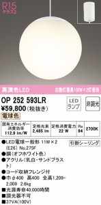 (送料無料) オーデリック OP252593LR 吹き抜け照明 LEDランプ 電球色 非調光 ODELIC