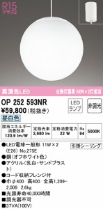 (送料無料) オーデリック OP252593NR 吹き抜け照明 LEDランプ 昼白色 非調光 ODELIC