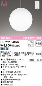 (送料無料) オーデリック OP252841NR 吹き抜け照明 LEDランプ 昼白色 非調光 ODELIC