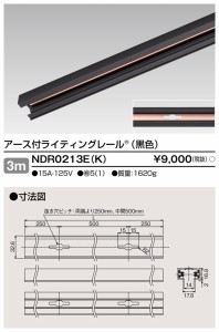 (法人様宛限定)東芝ライテック NDR0213E(K) 6形アース付レール3m黒 TOSHIBA