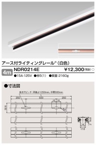 (法人様宛限定)東芝ライテック NDR0214E 6形アース付レール4m白 TOSHIBA