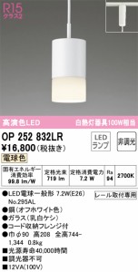 オーデリック OP252832LR 小型ペンダントライト 電球色 719lm レール取付専用 白熱灯100W相当 ODELIC