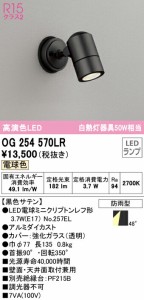 オーデリック OG254570LR エクステリアライト LEDランプ 電球色