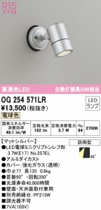 オーデリック OG254571LR エクステリアライト LEDランプ 電球色