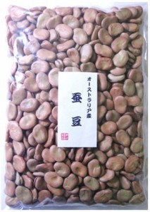 まめやの底力　　オーストラリア産蚕豆（空豆、そらまめ）　1Kg