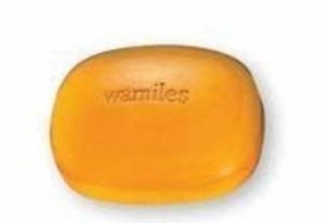 ワミレス(wamiles) ベーシックライン イオーヌソープ 100g ディッシュなし