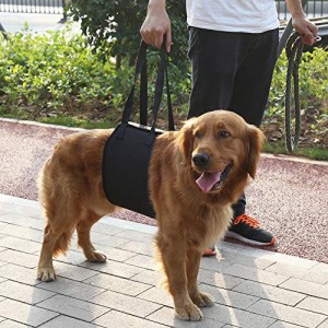 介護ハーネス 老犬介護用 歩行補助ハーネス ペット用 後足用 障害犬 欠陥犬 足腰の弱くなった老犬に 散歩用 登山用 運動用 ブラック (l)