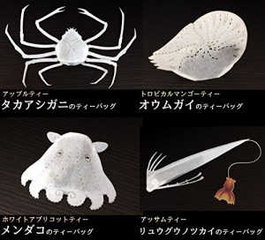 新・深海生物のティーバッグ　リュウグウノツカイ、メンダコ、オウムガイ、タカハシガニ