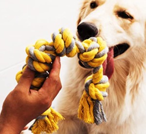 Bluestarz13923 犬おもちゃ 中型犬 大型犬用 犬ロープおもちゃ 犬用噛むおもちゃ玩具 耐久性 丈夫 清潔 歯磨き 天然コットン 運動不足