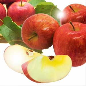 [送料無料] 美味いとこどり 青森県産 完熟 サンふじりんご つがるりんご 約3.5kg 旬な時期により野菜ソムリエが選定致します。 赤秀 ※フ