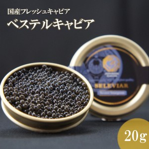 国産キャビア　ベステルキャビア20g　島根県産 フレッシュキャビア 国産 珍味 おつまみ 魚卵 魚 チョウザメ 無添加 冷凍 ギフト 贈答 高