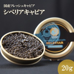 国産キャビア　シベリアキャビア20g 　島根県産 フレッシュキャビア 国産 珍味 おつまみ 魚卵 魚 チョウザメ 無添加 冷凍 ギフト 贈答 高