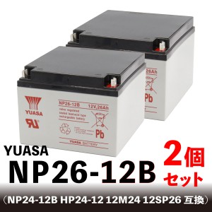 YUASA NP26-12B 2個セット【互換 NP24-12B HP24-12 12M24 12SP26 EVX-12260 】 セニアカー用バッテリー ユアサ 台湾