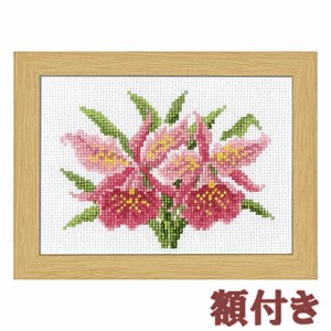 オリムパス クロスステッチ　刺繍キット 12か月の花のフレーム 1月 カトレア（額付）