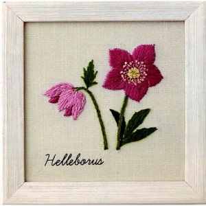 青木和子 刺繍キット 12か月の植物手帖 Helleborus(クリスマスローズ)