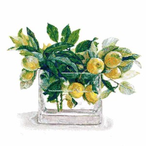 クロスステッチ 刺繍キット（刺しゅうキット）フジココレクション　【レモン】552104（674）