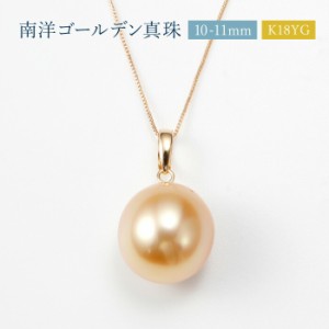 南洋ゴールデン真珠 10-11mm ペンダント [ 40cm ネックレス 18K K18YG イエローゴールド 金属アレルギー対応 ゴールデンパール ]