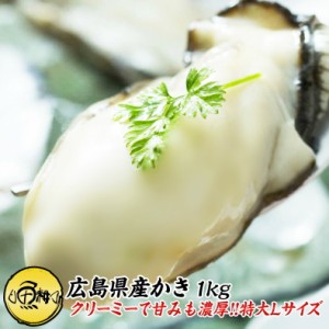 牡蠣1kg 冷凍（解凍後800g/35-40粒前後/Lサイズ）  海の幸が豊富な瀬戸内海で育てられた良質な広島産かき  