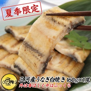 うなぎ 鰻 白焼き 愛知三河一色産 兼光 約160g×1尾  